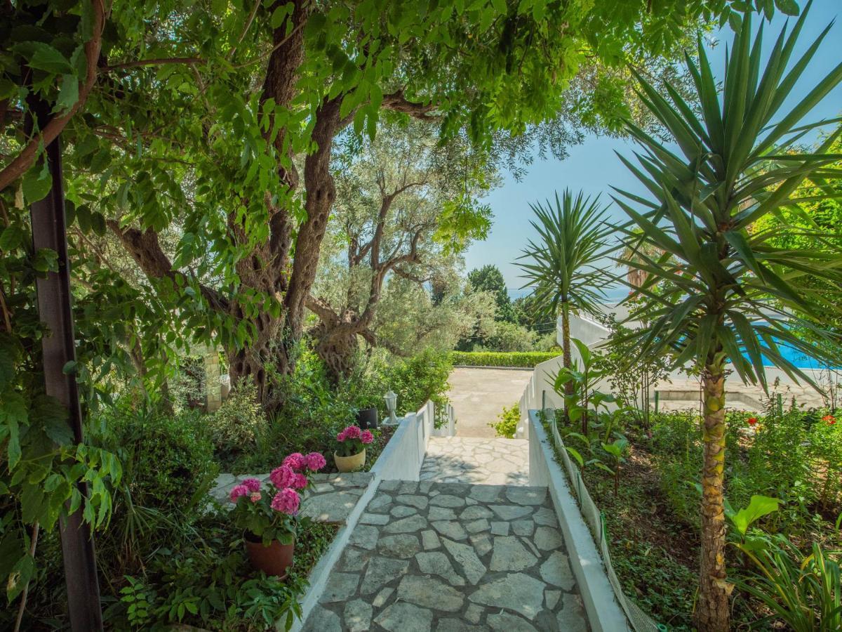 The Turtles Garden Villa Bečići Exterior photo