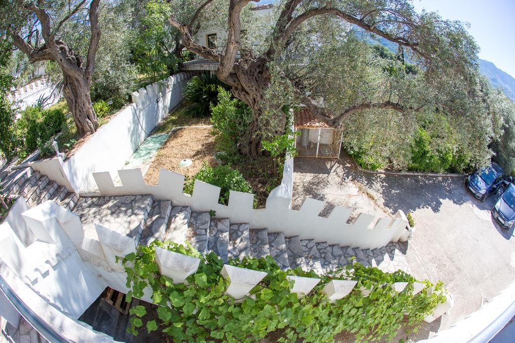 The Turtles Garden Villa Bečići Exterior photo